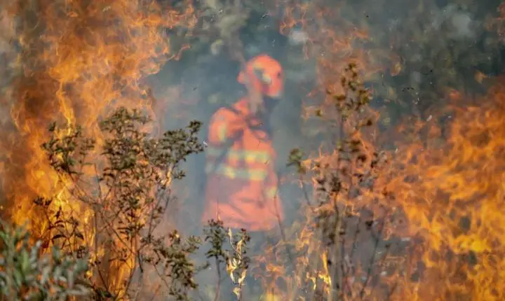 Governo de MT pede apoio da população e alerta sobre seca severa no Pantanal; saiba tudo que já foi feito