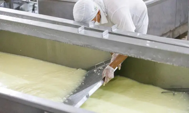 Governo regulamenta normas para manipulação e beneficiamento de produtos da agroindústria familiar em MT