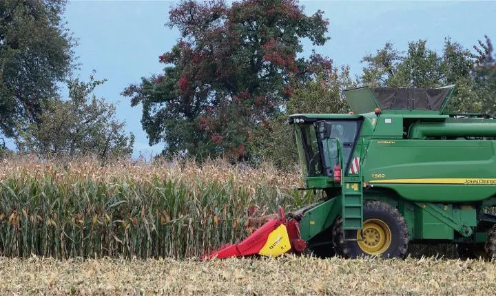 Governo zera imposto de importação da soja e do milho