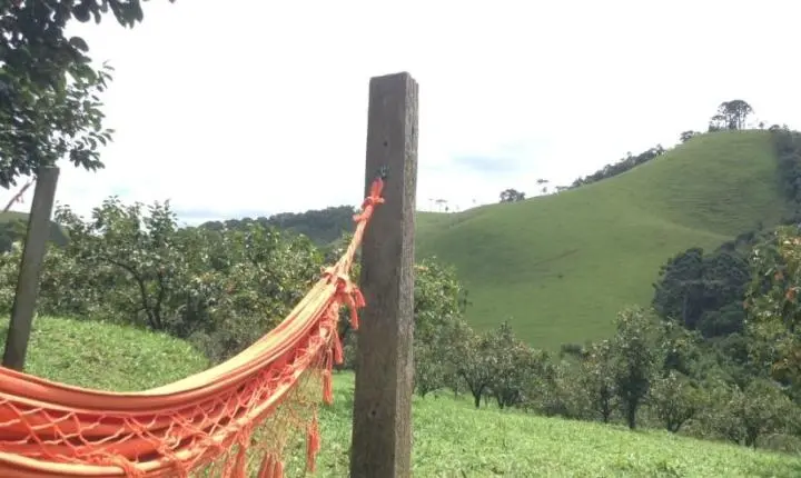 Homem que matou a ex a facadas aguardou polícia deitado em rede: 