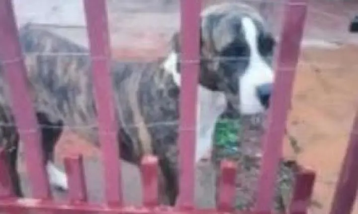 Idoso de 68 anos é preso por suspeita de zoofilia e alega sofrer de 'perda de memória' em Nova Guarita