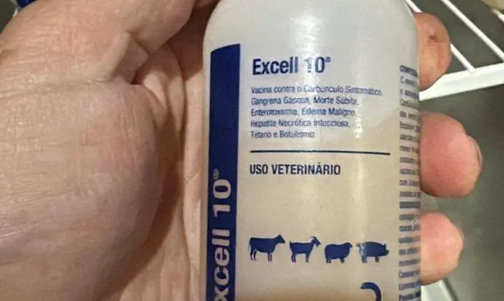 Indea informa suspensão do comércio da vacina Excell 10 em MT