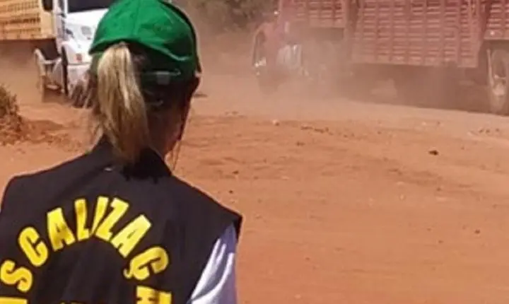 Indea orienta sobre importância da emissão da guia de transporte animal