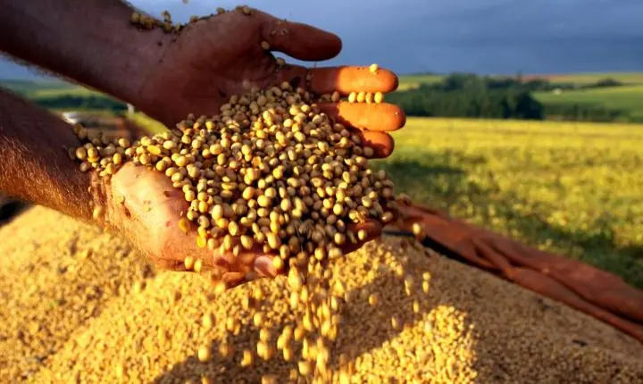 Ipea diz que crescimento do PIB agro em 2023 será de 15,5%