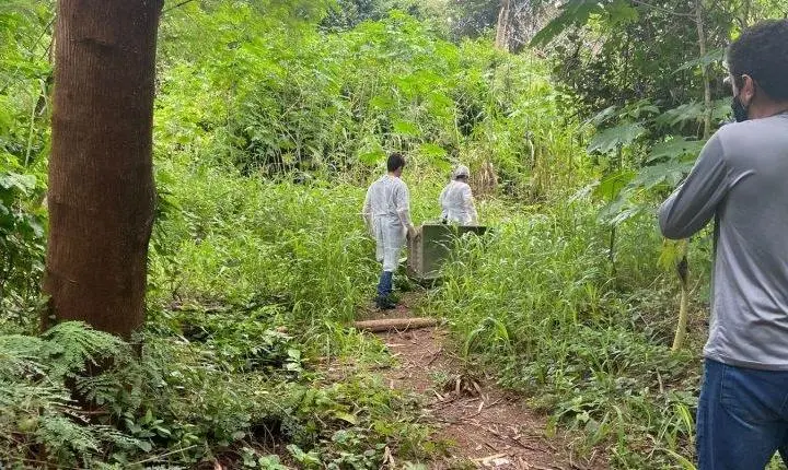 Jovem que estava desaparecido é encontrado decapitado e enterrado em parque florestal em Sinop