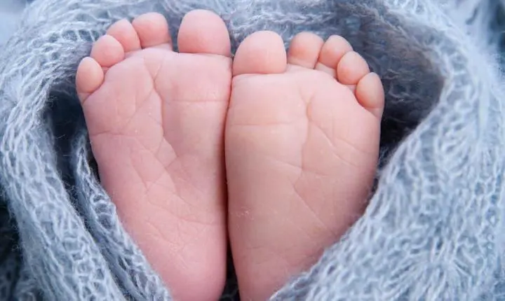 Justiça determina indenização de R$ 6 mil a funcionário que teve a licença-paternidade negada por empresa em Primavera do Leste