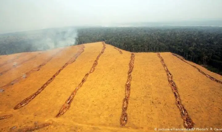 Justiça Federal suspende decisão do Cade contra Moratória da Soja