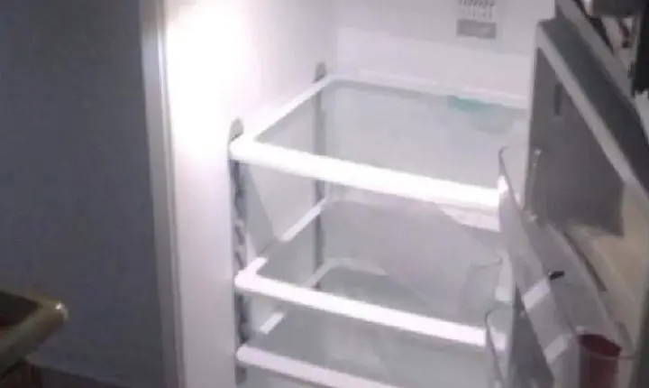 Mãe mata filha de 9 anos, esquarteja e esconde corpo em geladeira, na zona sul de SP