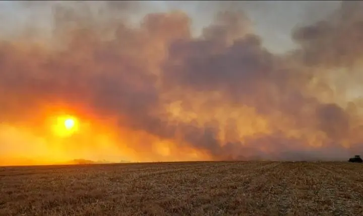 Mais de R$ 77 milhões em multas são aplicadas contra autores de incêndios em MT