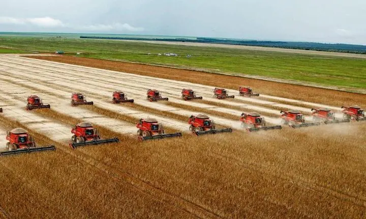 Maquinários agrícolas ajudam na colheita em MT e erros no campo podem ser reduzidos