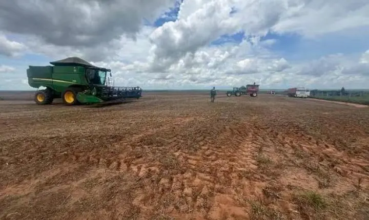 Máquinas agrícolas e mais de 72 mil kg de soja são apreendidos em operação contra desmatamento ilegal em MT