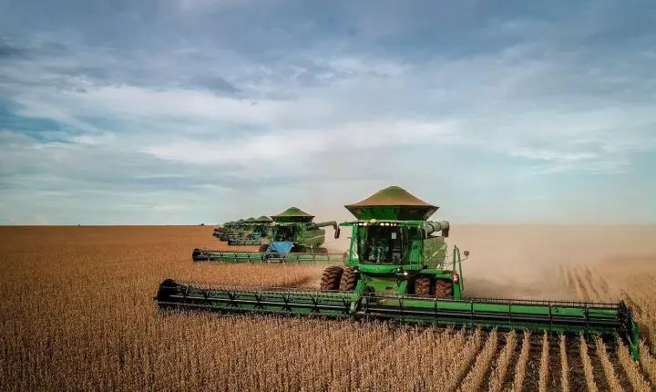 Mato Grosso colhe metade da área de soja