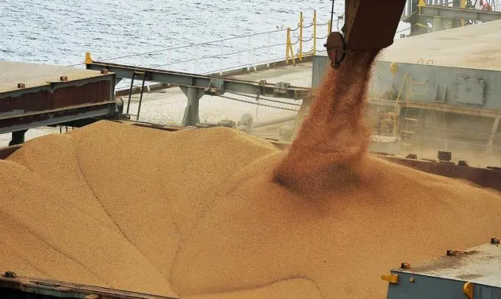 Mato Grosso é responsável por 32% das exportações de soja no Brasil