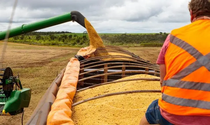 Mato Grosso fecha 2025 como o 4º maior exportador brasileiro