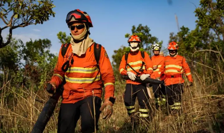 Mato Grosso registra o menor número de focos de calor nos últimos 15 anos
