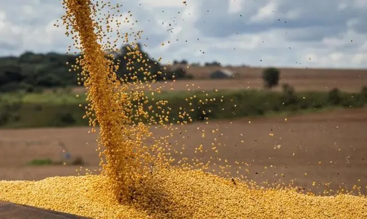 Mato Grosso registra um novo recorde nas exportações de soja