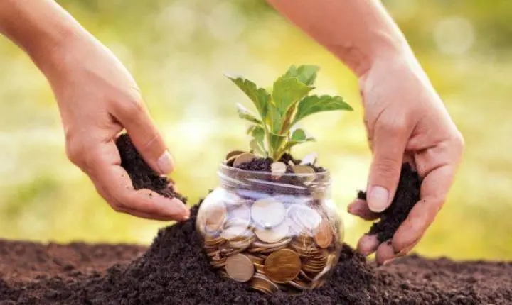 Mato Grosso tem 35 municípios na lista dos 100 mais ricos do agronegócio