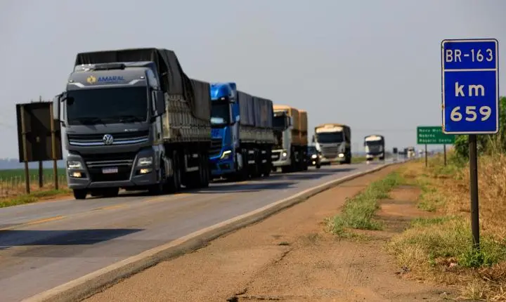 Motoristas das categorias C, D e E com exame toxicológico vencido têm até o dia 28 para regularização