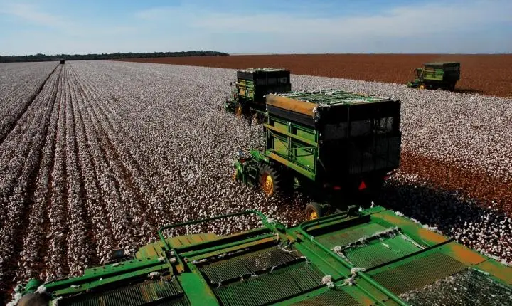 MT concentra 26 dos 50 municípios do país com os maiores valores de produção agrícola