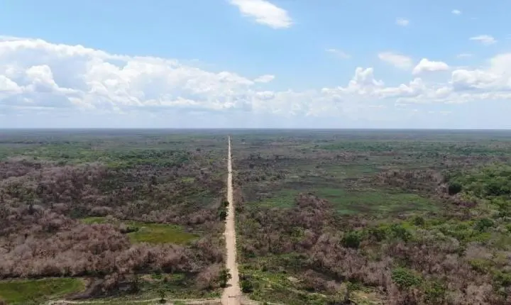 MT dobra cultivo de grãos com plantio em áreas degradadas