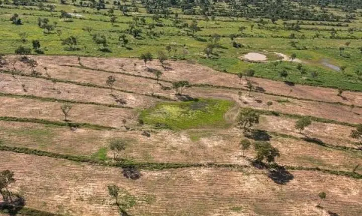 MT é o estado da Amazônia Legal que mais desmatou no 1° bimestre de 2024