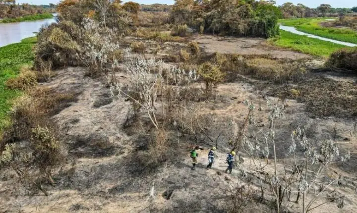 MT tem 22 municípios na lista dos que mais desmataram a Amazônia em 2023