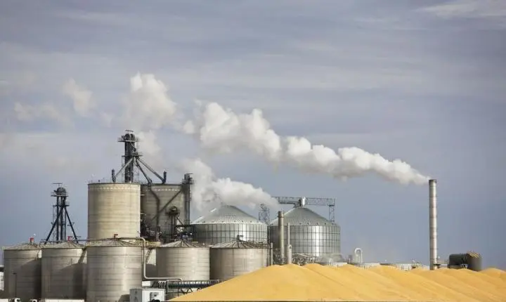 MT tem aumento de 18,5% no faturamento com exportações em 2021 e setor diz estar otimista para este ano