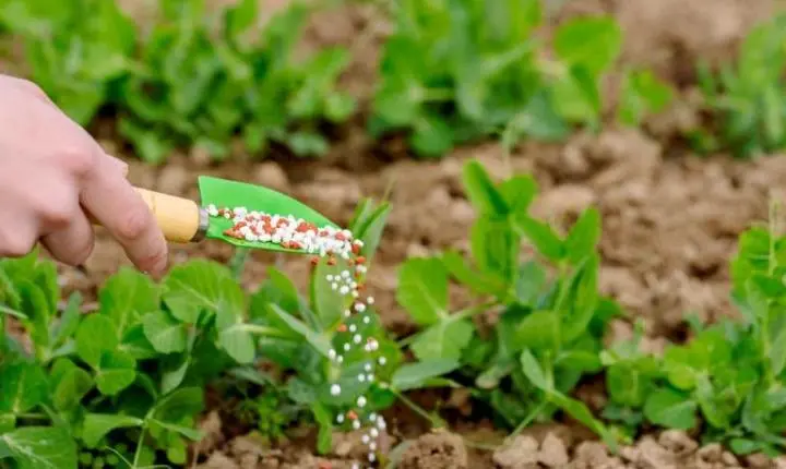 MT teve superávit de R$ 28,78 bilhões na balança comercial