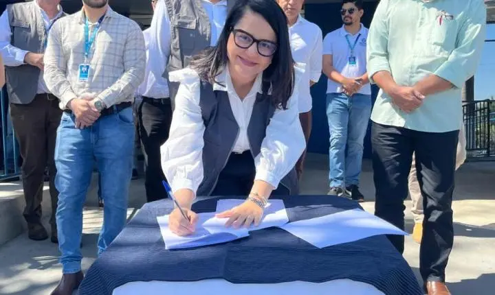 Mulheres lideram mais de 80% dos projetos do Fundo de Apoio à Agricultura Familiar