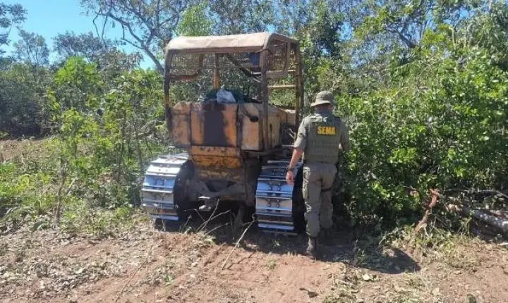 Multas contra desmatamento ilegal somam R$ 712 milhões em MT