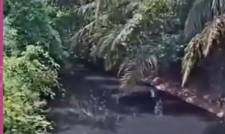 Município de MT entra em estado de emergência após derramamento de esgoto em córrego 