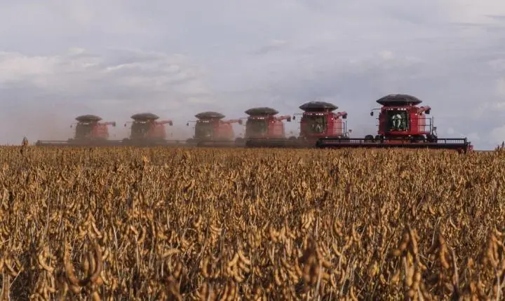 Oeste e médio-norte lideram colheita da soja em Mato Grosso