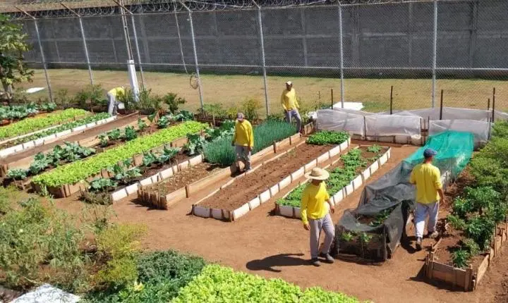Oficinas em unidades prisionais ofertam trabalho e oportunidades de qualificação a reeducandos em MT