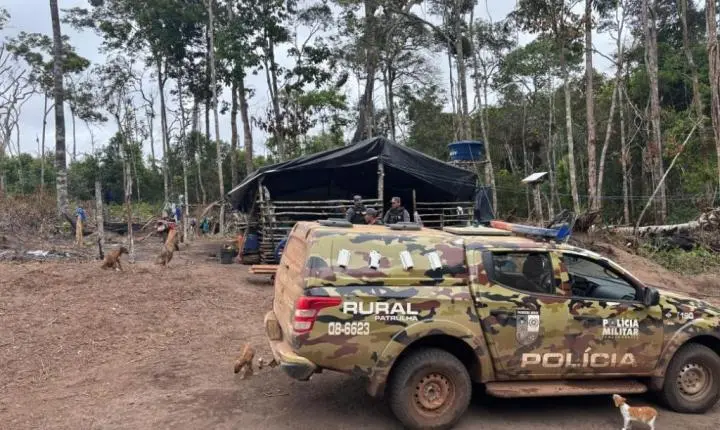 Patrulha Rural resgata crianças por trabalho infantil; três pessoas são presas