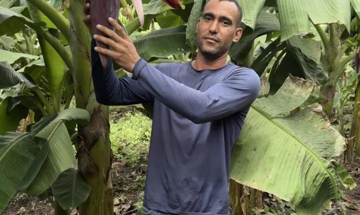 Pequenos agricultores podem receber até R$ 28 mil por ações que preservem floresta amazônica