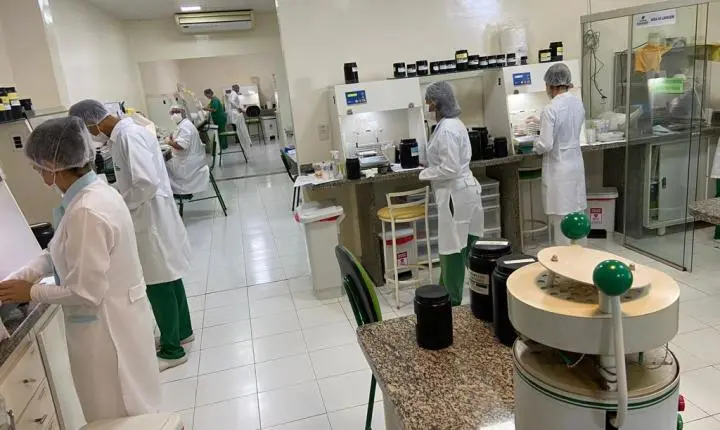 Pesquisa apoiada pelo Governo de MT desenvolve derivados de própolis para uso na indústria alimentícia
