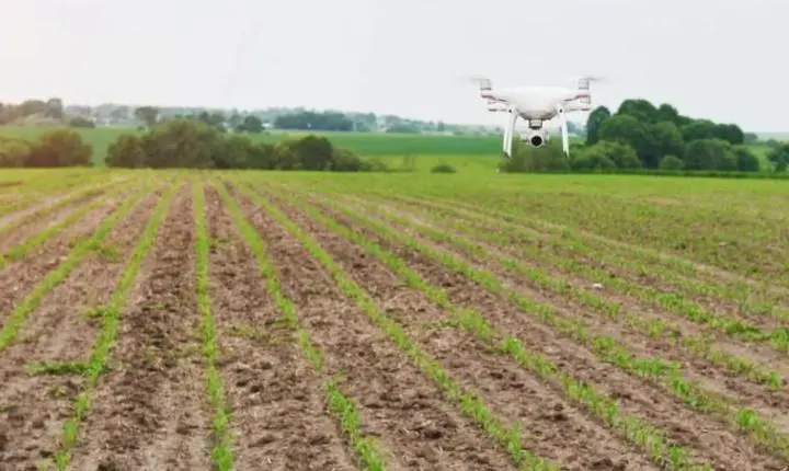 Pesquisa aponta que agrotóxicos contaminaram água de 2 municípios em MT