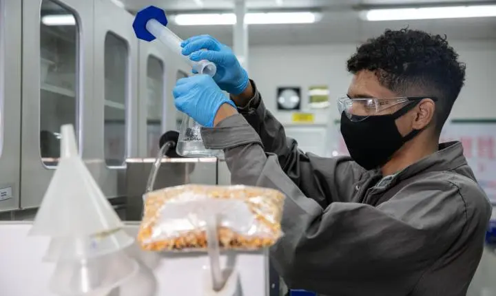 Pesquisa explora potencial dos coprodutos do etanol de milho para alimentação animal em MT