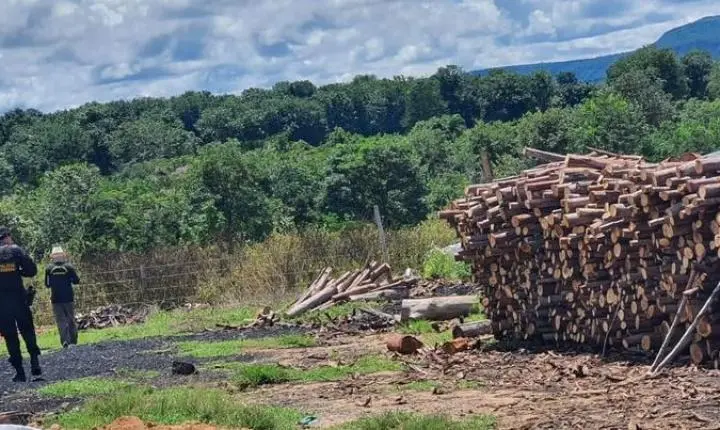 PF atua contra trabalho análogo à escravidão e encontra irregularidades em carvoaria em Alto Taquari