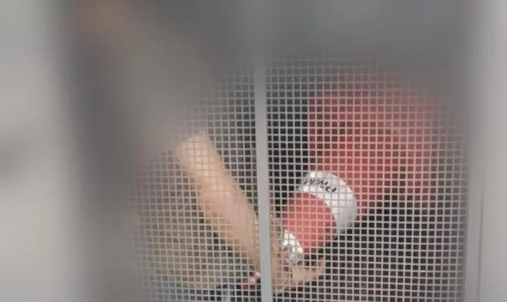 PM cumpre mandado de prisão em Gaúcha do Norte