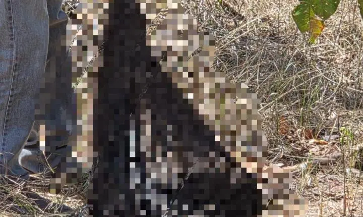 Polícia Civil encontra ossada humana em área rural de Jaciara