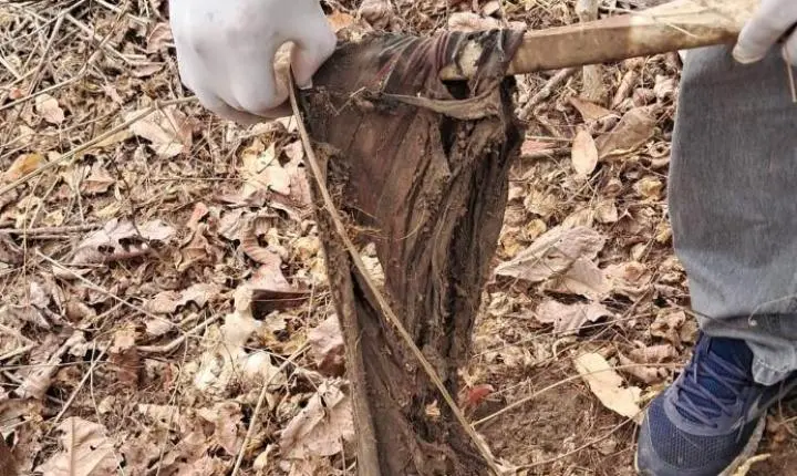 Polícia Civil encontra ossada humana na zona rural de Pedra Preta