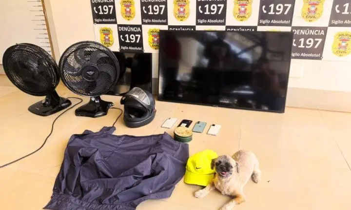 Polícia Civil prende suspeito que invadiu casa e furtou eletrônicos, carro e cachorro