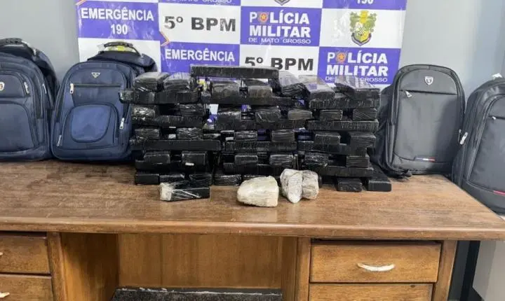 Polícia Militar registra aumento de 204% nas apreensões de drogas