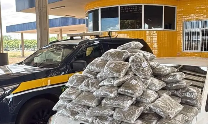 Primavera do Leste; PRF apreende 50,85 kg de skunk