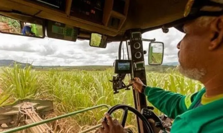 Produtividade do trabalhador brasileiro só cresce na agropecuária
