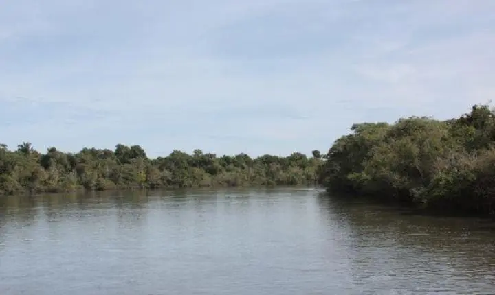 Produtor recupera fauna, flora e rios com reflorestamento