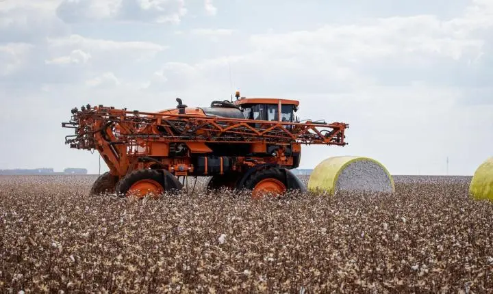 Produtores de algodão devem cadastrar propriedades no Indea até o próximo dia 15