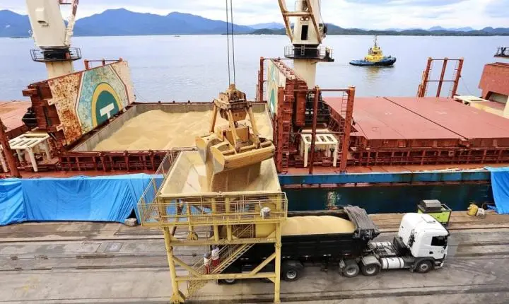 Projeto apresentado pela bancada do PT quer taxar exportação de grãos e carnes do Brasil