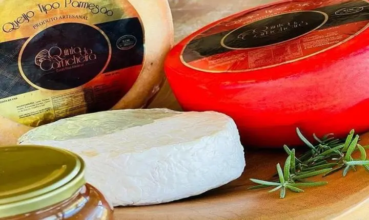 Queijos mato-grossenses premiados estão entre produtos da agricultura familiar disponíveis na FIT Pantanal